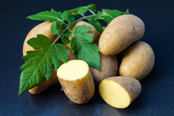 tuberoso di solanum di patate - raw potato farmers market market stall vegetable foto e immagini stock