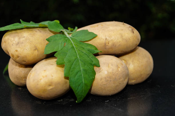 tuberoso di solanum di patate - raw potato farmers market market stall vegetable foto e immagini stock