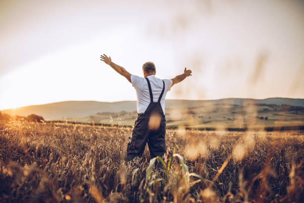 istock Farmer standing in a golden wheat field 1171271566