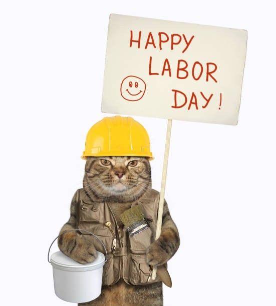 istock Cat with sign and brush 2 1171273678