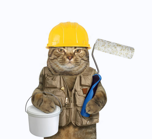 Cat with roller brush and tin of paint