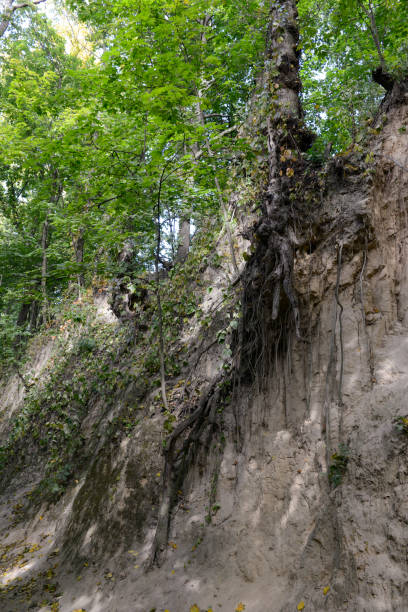 istock Saint Queen Jadwiga Gorge in Sandomierz 1171275396