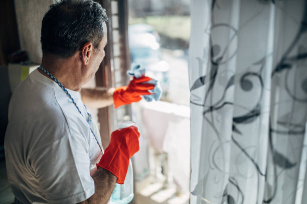 istock cleaning glass in the apartment 1171277131