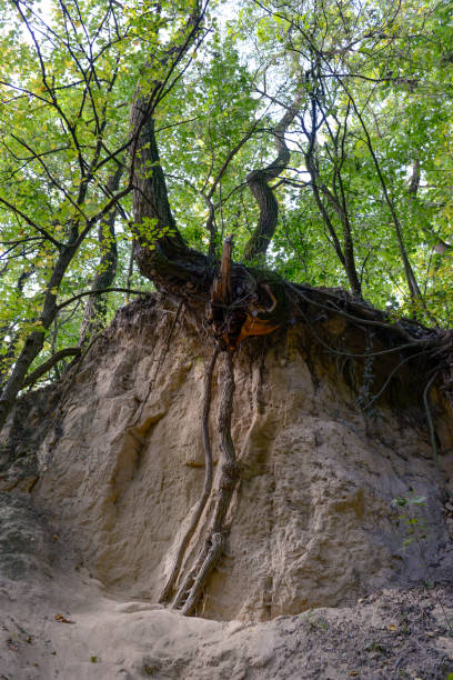 istock Saint Queen Jadwiga Gorge in Sandomierz 1171279101