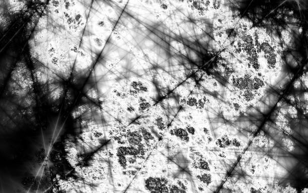 istock Art dirty grunge unusual website monochrome background 1171281064