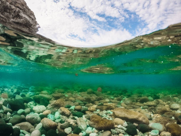istock underwater view of a rocky coastline 1171282725