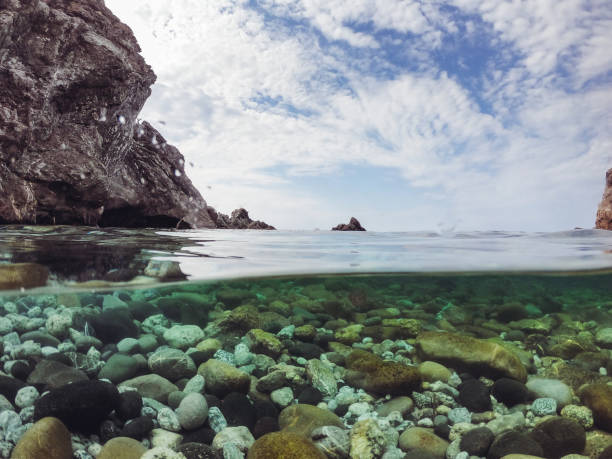 istock underwater view of a rocky coastline 1171282762