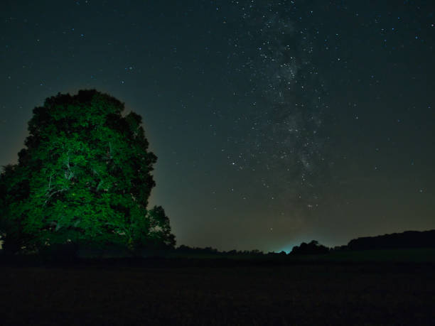 istock Milky Way with an big old green tree on the hill. 1171284648