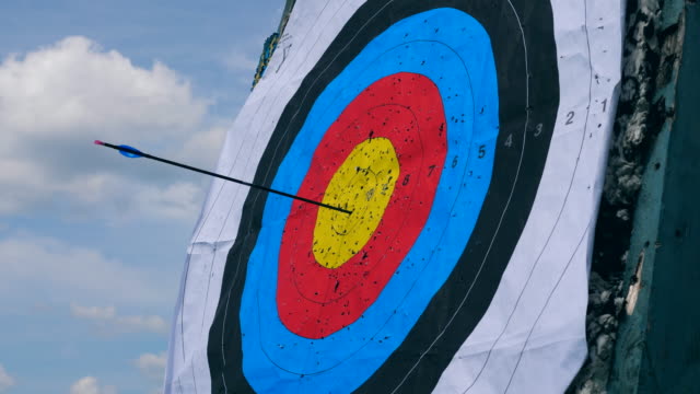 Black arrow getting to the center of a target.