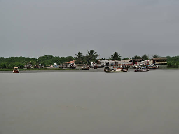 istock Delta River Patience Tour 1171289667