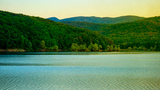 istock Freshwater lake among wooded mountains 1171290144