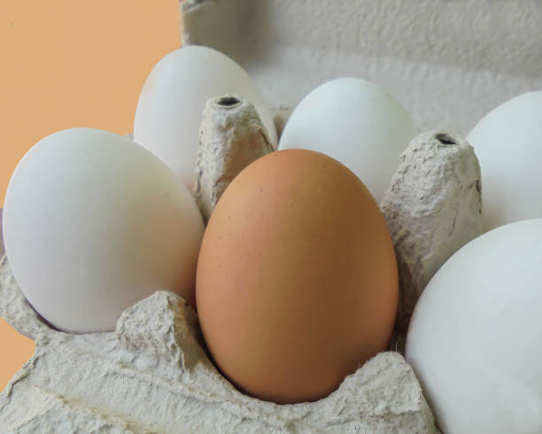 istock one brown and five white chicken eggs in a cardboard tray 1171292036