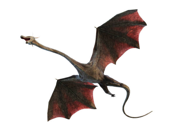 istock dragon, flying fairy tale animal isolated on white background, bottom view (3d creature render) 1171292088