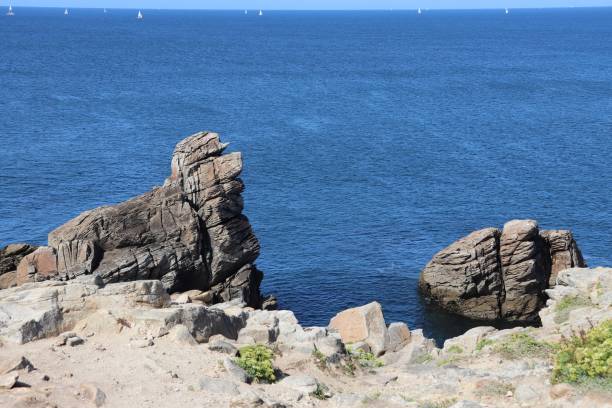istock The wild coast - Quiberon peninsula coast 1171300046