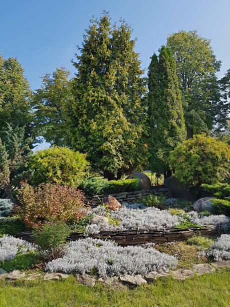 istock Landscape design in the fresh green garden 1171300354