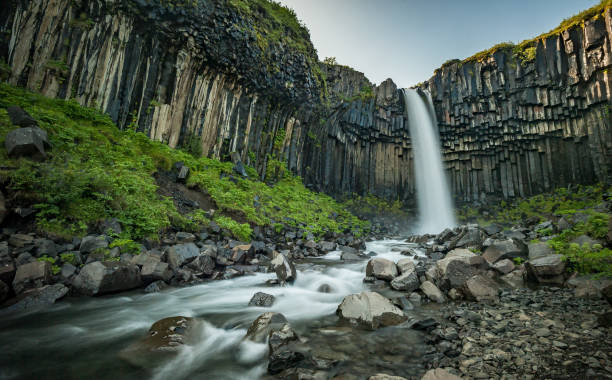 istock Svartifoss or Black Waterfall in Iceland 1171301506