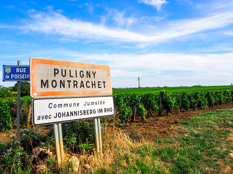 Villages and Vineyards of Puligny Montrachet and Meursault in Burgundy, France