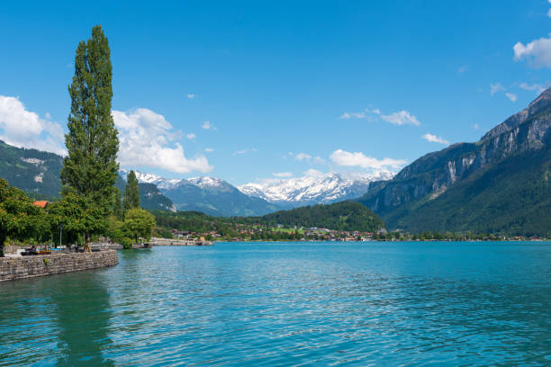 istock Lake Brienz in Brienz 1171310514