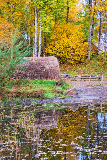 grashütte an einem waldsee mit herbstfarben, rekonstruktion aus der prähistorischen zeit - logboat stock-fotos und bilder