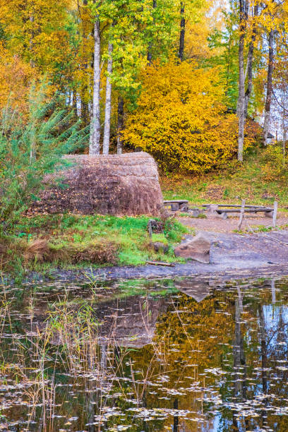 cabaña de hierba en un lago del bosque con colores otoñales, reconstrucción de la época prehistórica - logboat fotografías e imágenes de stock