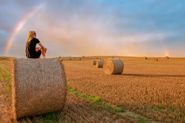 Photo of Hay bales in stubble field