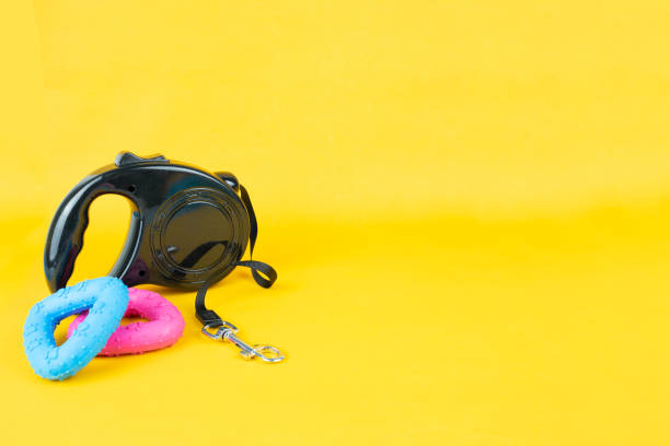 istock Pet supplies with copy space on yellow background 1171326683