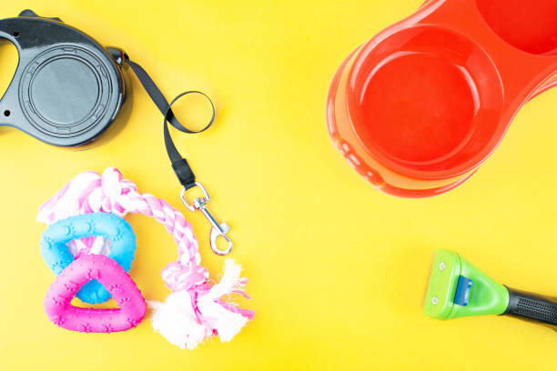 istock Pet supplies with copy space on yellow background 1171326690
