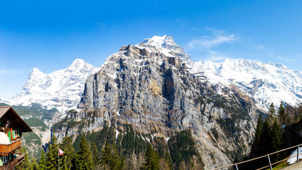 vetta schwarzmonch nell'oberland di berner guardando dal villaggio di murren con eiger, monch e jungfraujoch - jungfraujoch jungfrau bernese oberland monch foto e immagini stock