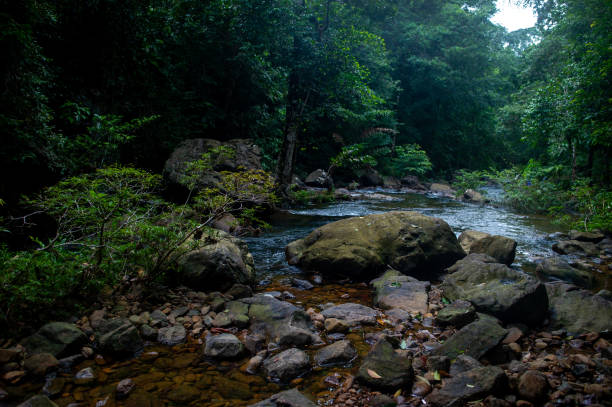 istock Natural waterfall, shoulder river, through the top of the mountain 1171330756