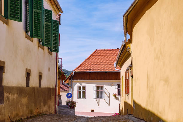 istock Street in Sighisoara 1171335039