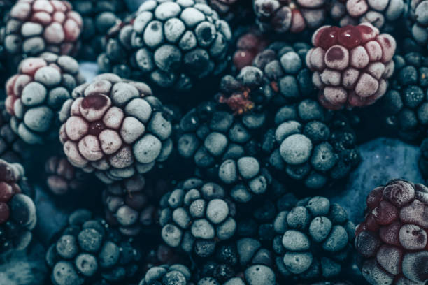 istock Close up fresh frozen blackberry background. Macro view. 1171337687