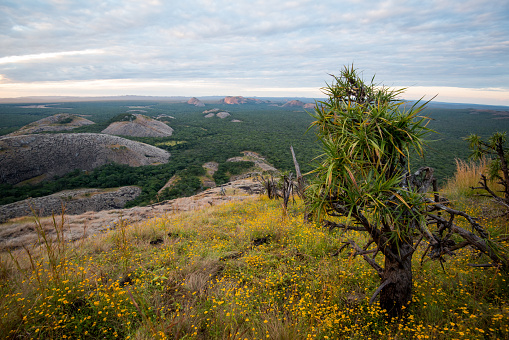 The Mutinondo Wilderness is known for its Inselbergs, a rare geological formation.