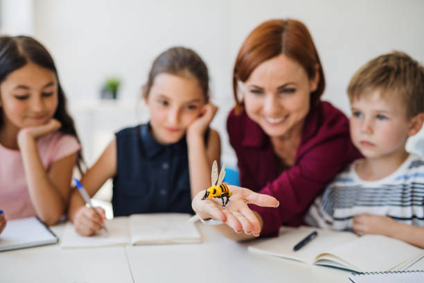 A group of small school kids with teacher sitting in circle in class, learning. A group of small school kids with teacher sitting at desk in circle in class, learning science. teacher classroom child education stock pictures, royalty-free photos & images