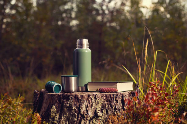 녹색 보온병, 컵 및 책은 가을 숲의 그루터기에 서 있습니다. - insulated drink container 뉴스 사진 이미지