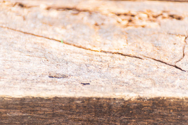 Vintage surface wood table and rustic texture background, closeup on the structure wooden, background