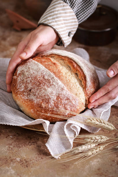 istock Round loaf of freshly backed sourdough bread. 1171344522