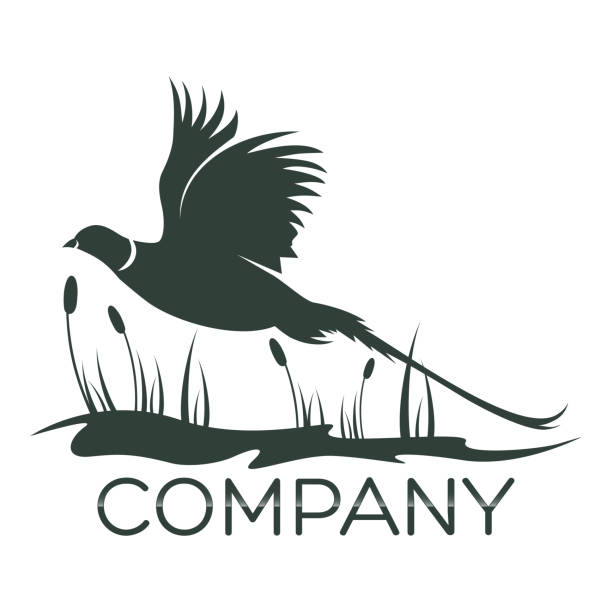 ilustrações, clipart, desenhos animados e ícones de logotipo do faisão do pássaro - faisão ave de caça