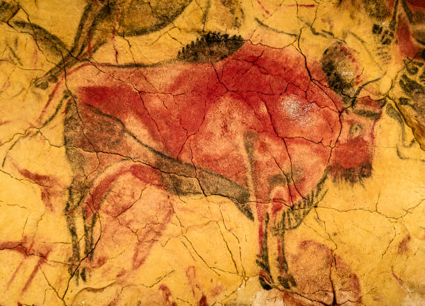 bisones rojos de la cueva de altamira - cueva de altamira fotografías e imágenes de stock