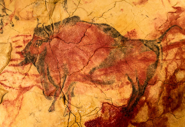 bisonte rojo en la pintura rupestre de altamira - cueva de altamira fotografías e imágenes de stock