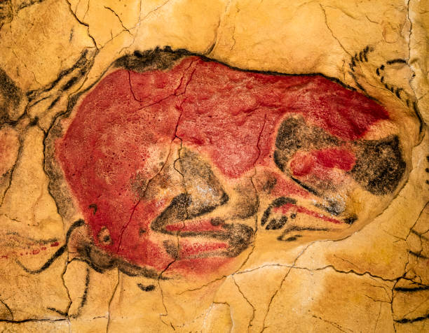 bisones rojos de la cueva de altamira - cueva de altamira fotografías e imágenes de stock