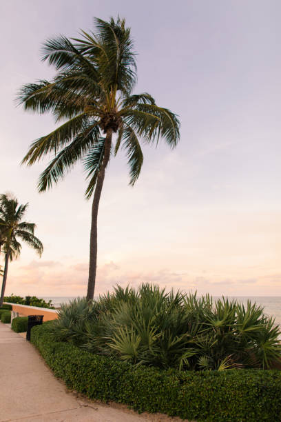 istock Pastel Sunset on Palm Beach, Florida 1171350541