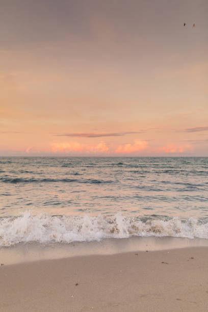 istock Pastel Sunset on Palm Beach, Florida 1171350685