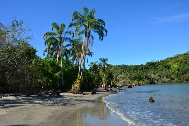 istock Barra Seca Beach in Ubatuba, Brazil 1171350722