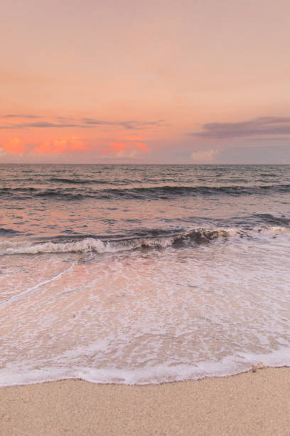 istock Pastel Sunset on Palm Beach, Florida 1171351329