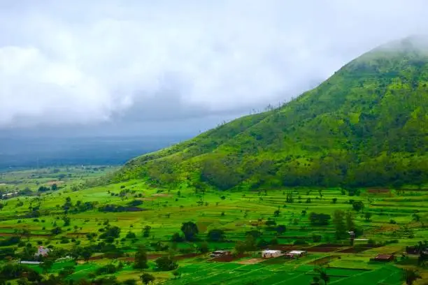 Green landscape in rainy season