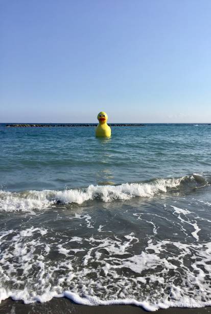 istock Cyprys big duck sea 1171351647