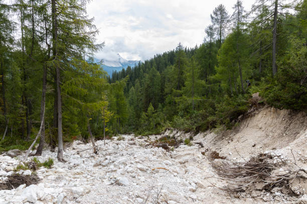 istock Dolomites - Cortina D'Ampezzo - Italy 1171353297