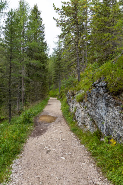 istock Dolomites - Cortina D'Ampezzo - Italy 1171353517
