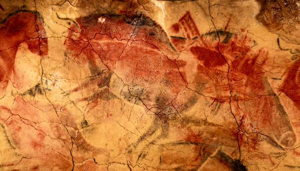 Rock paintings from Altamira cave Paleolithic rock painting of a bison and a horse from the Altamira cave, Santillana del Mar, Cantabria, Spain cave painting photos stock pictures, royalty-free photos & images