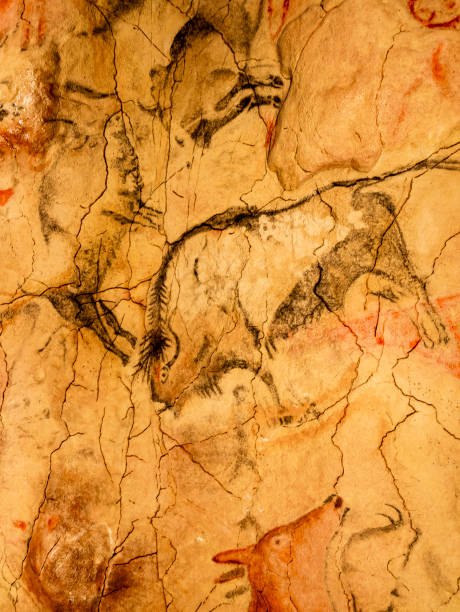 bisonte negro de la cueva de altamira - cueva de altamira fotografías e imágenes de stock